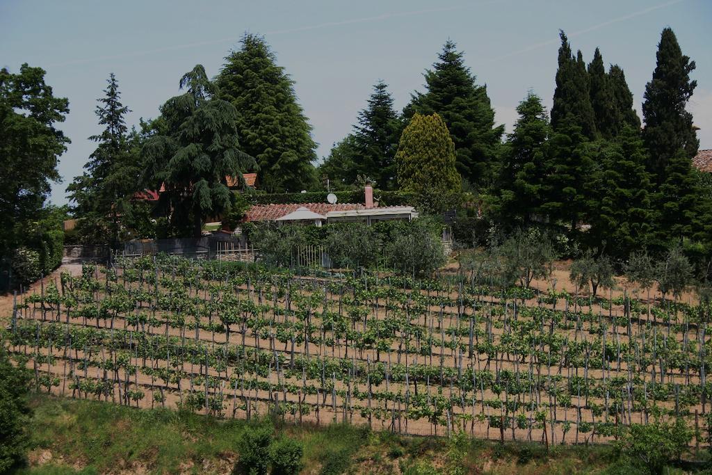 Agriturismo Podere La Fornace Cavriglia Exterior photo